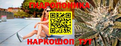 бутират Кингисепп