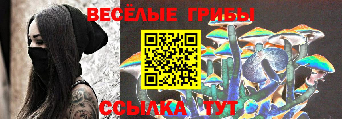Псилоцибиновые грибы Cubensis  Вход с VPN  Арзамас 